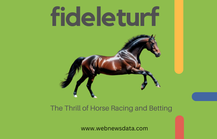 fideleturf